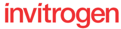 M invitriogen