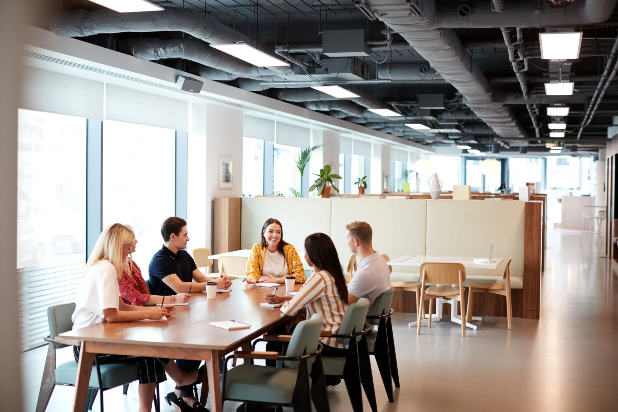 Shutterstock 1229695336