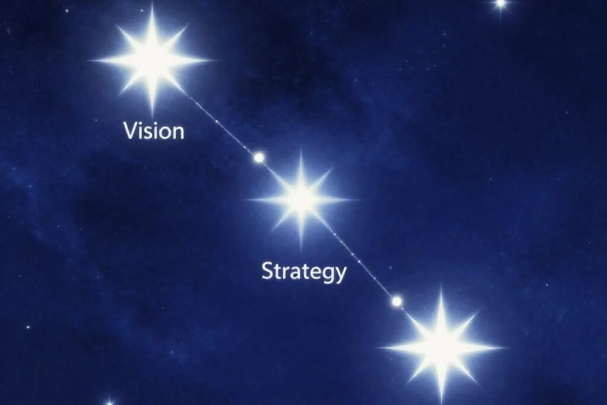 Vision Stategy and Exection