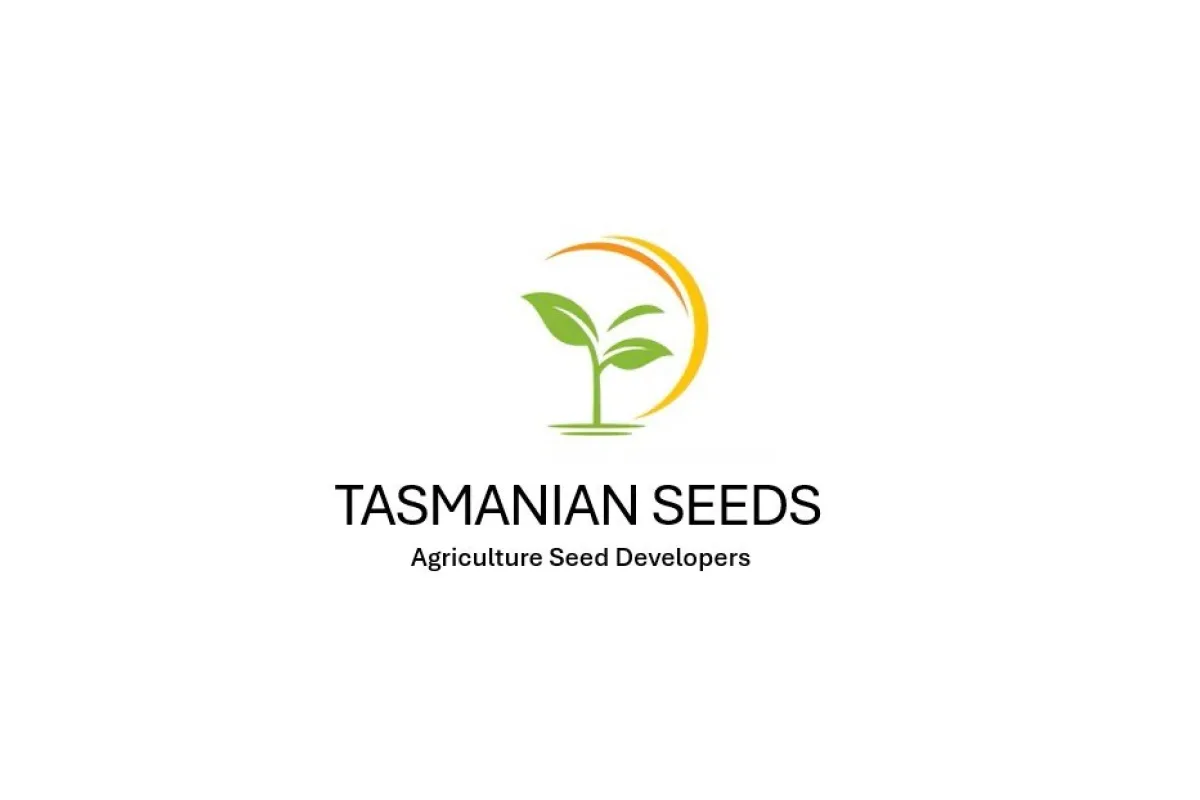 Tasmanian Seeds Zoom Stone