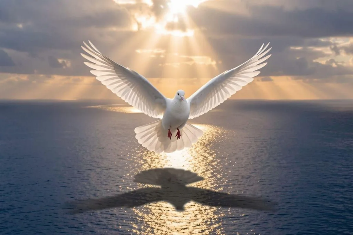 In the Shadow of Your Wing Image 3000x3000