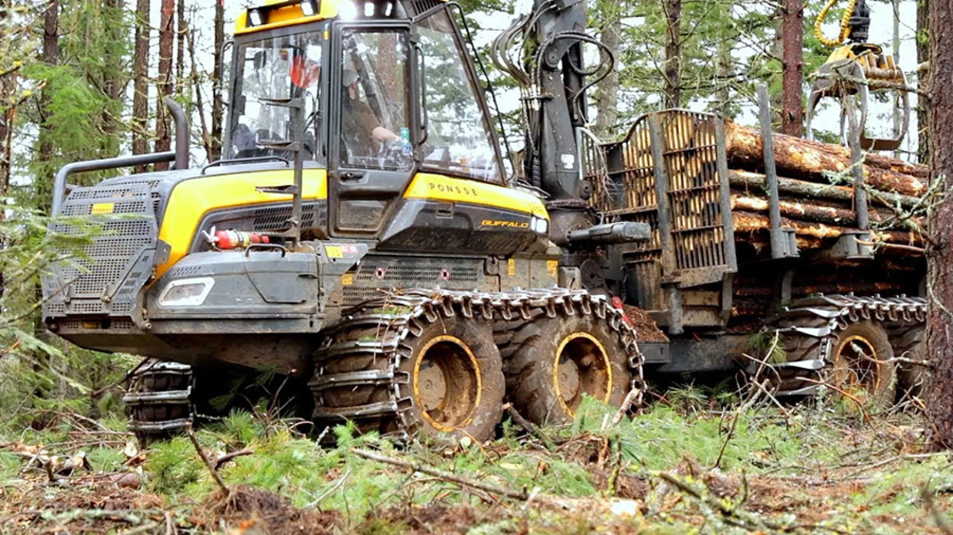 AJL Log Skidder