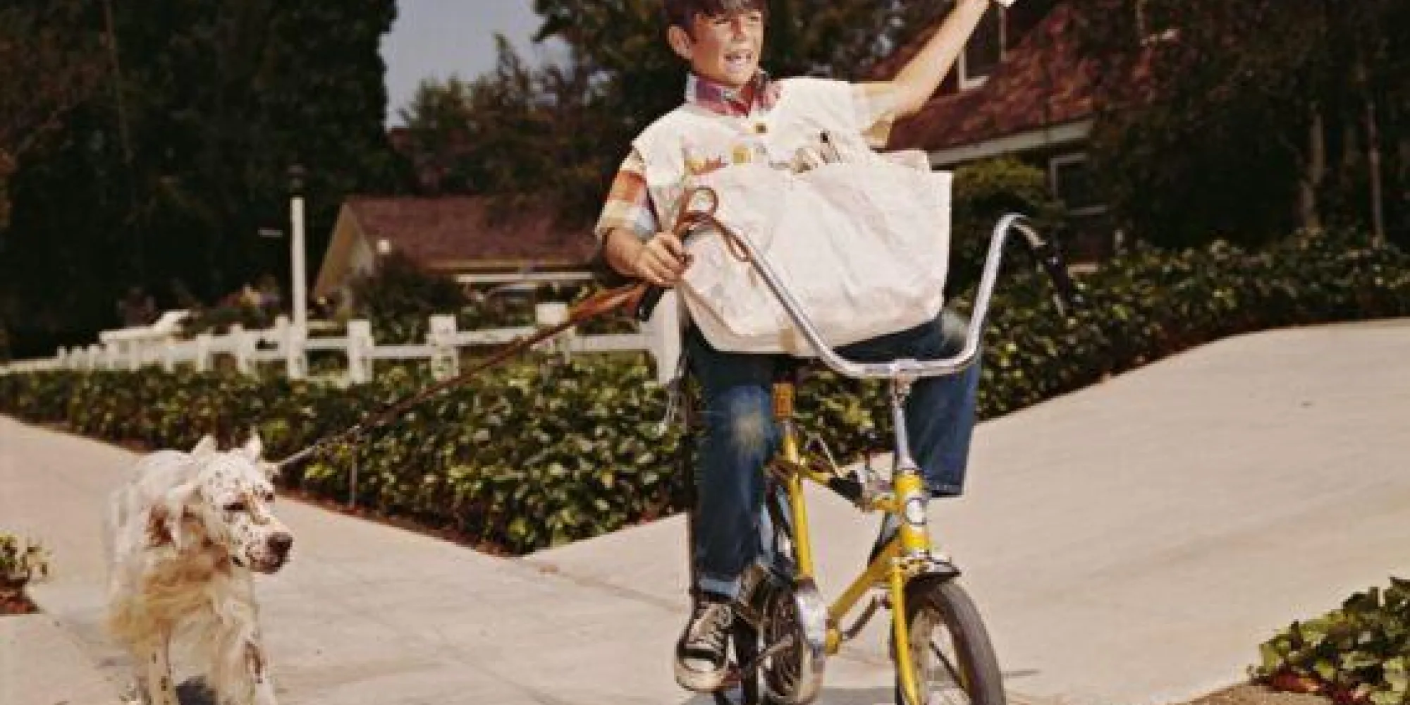 Newsgallery paperboy 1970