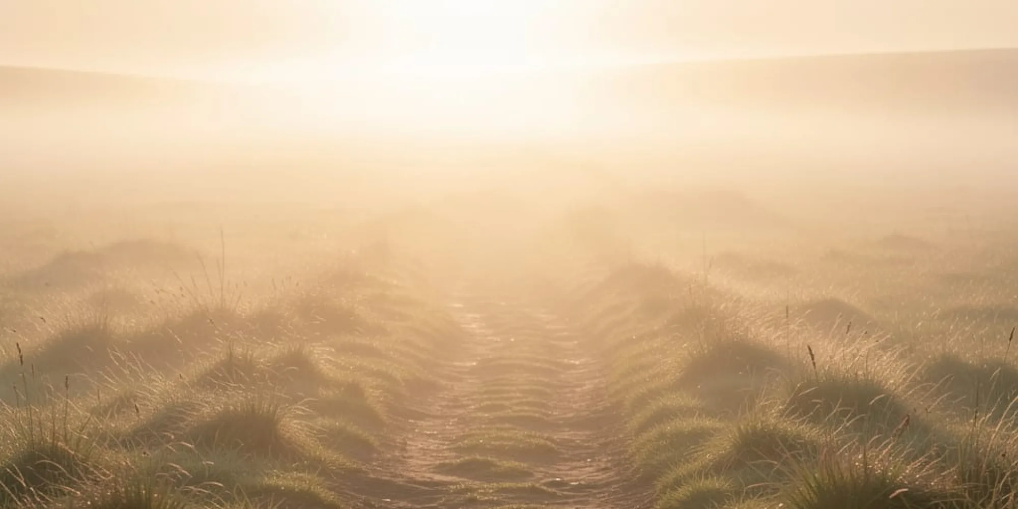 Faithful Spirit 3